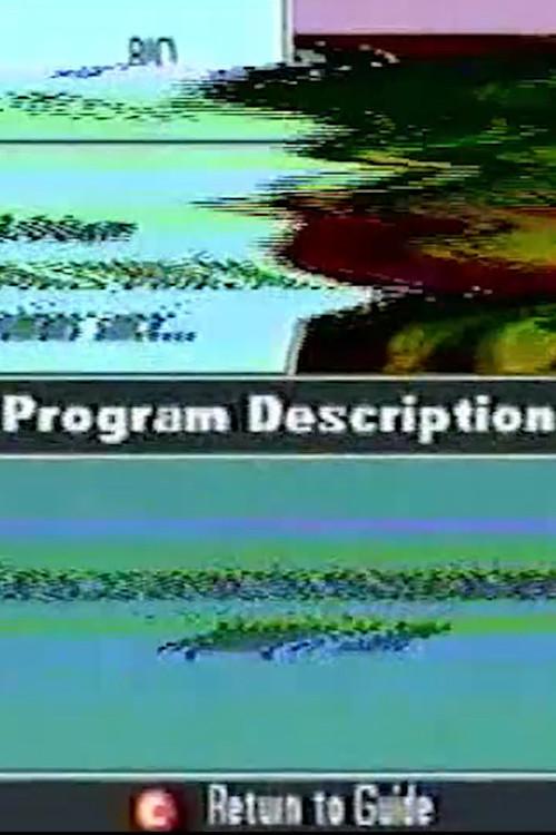 Program Description 2003 official movie poster
