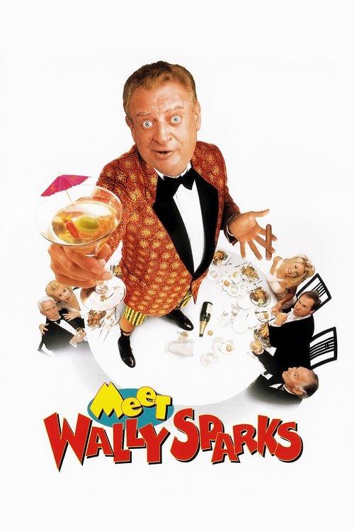 Meet Wally Sparks 1997 official movie poster