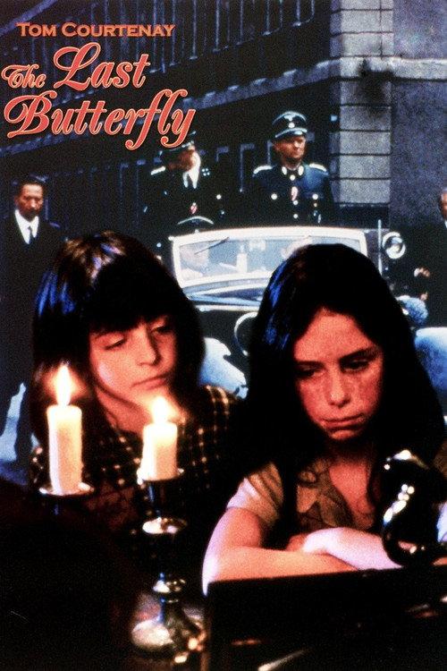 The Last Butterfly 1991 official movie poster