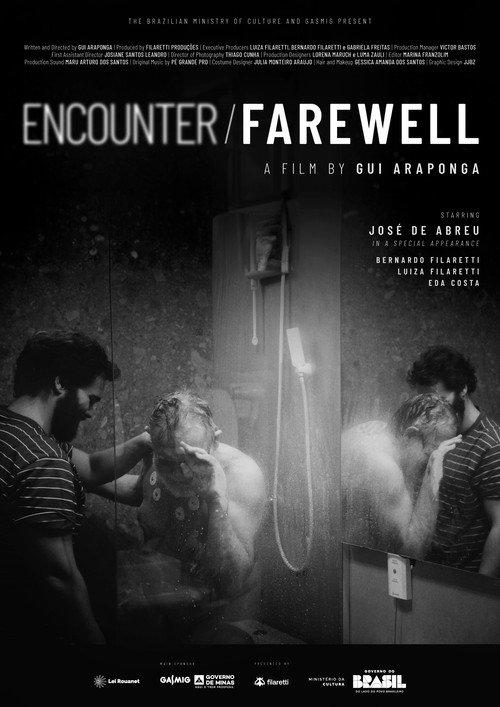 Encounter and Farewell 2027 official movie poster