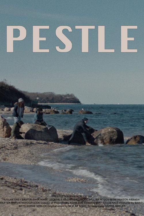 Pestle official movie poster