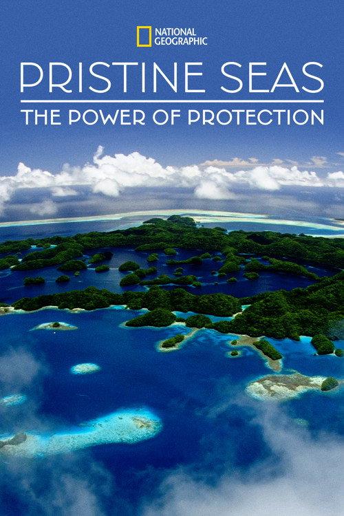 Pristine Seas: The Power of Protection 2021 official movie poster