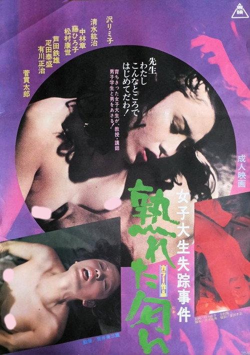 A College Girl's Affairs 1974 official movie poster