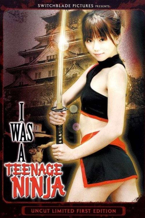 I Was A Teenage Ninja 2007 official movie poster