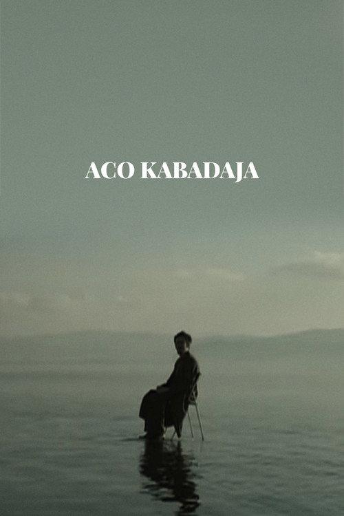Aco Kabadaya 2011 official movie poster