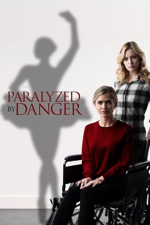 Danger in the Spotlight 2021 official movie poster