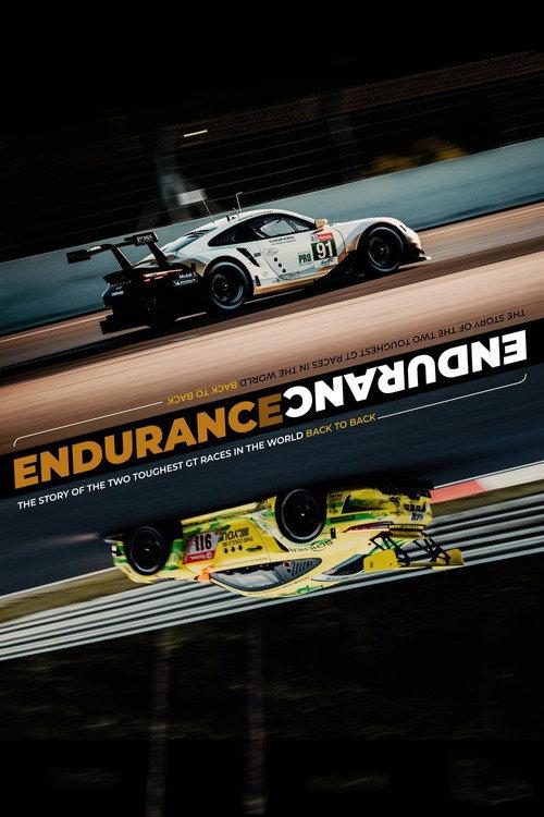 ENDURANCE 2020 official movie poster