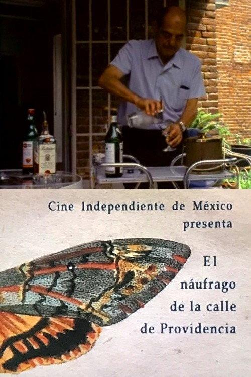 The Castaway on the Street of Providence 1971 official movie poster