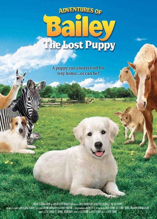 Adventures of Bailey: The Lost Puppy 2011 official movie poster