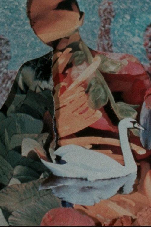 Shells and Rushes 1987 official movie poster