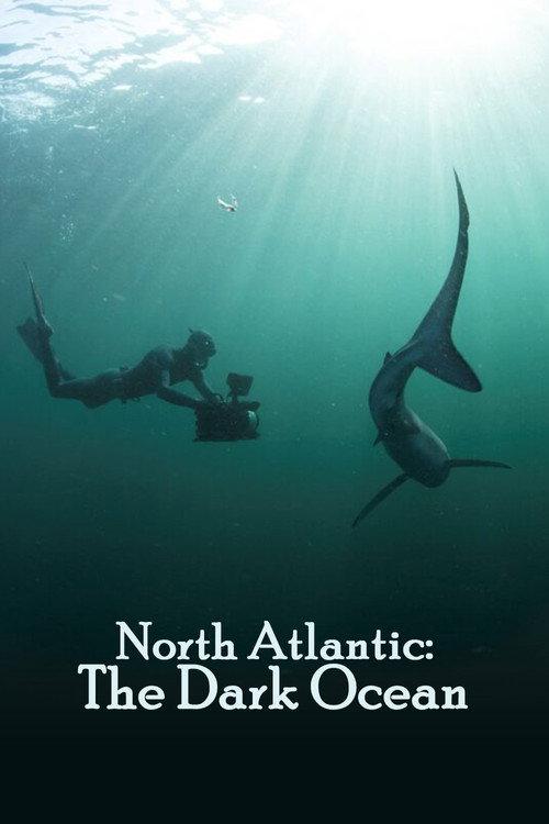 North Atlantic: The Dark Ocean 2023 official movie poster