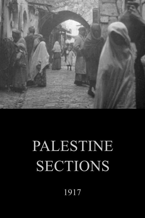 Palestine Sections 1917 official movie poster