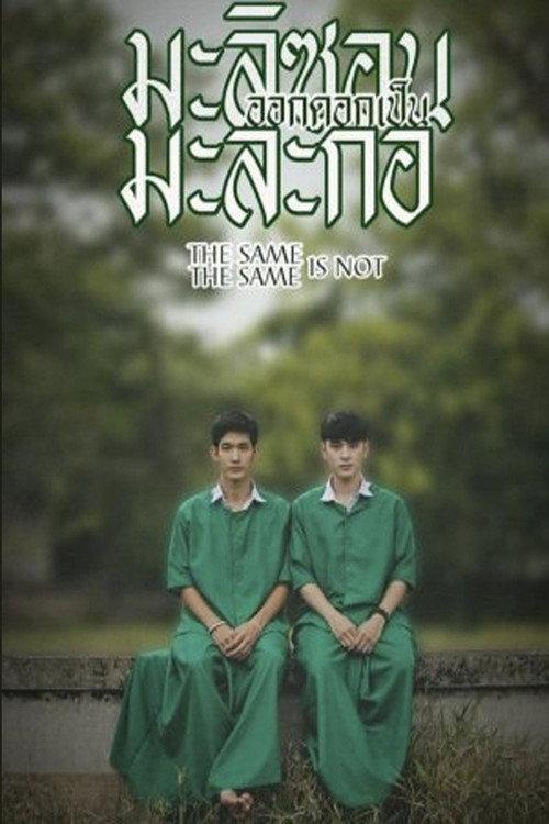 Same Same is Not the Same 2015 official movie poster