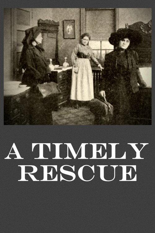 A Timely Rescue 1913 official movie poster