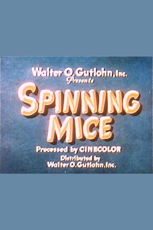 Spinning Mice 1935 official movie poster
