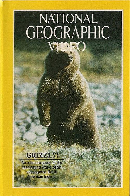 Grizzly! 1967 official movie poster