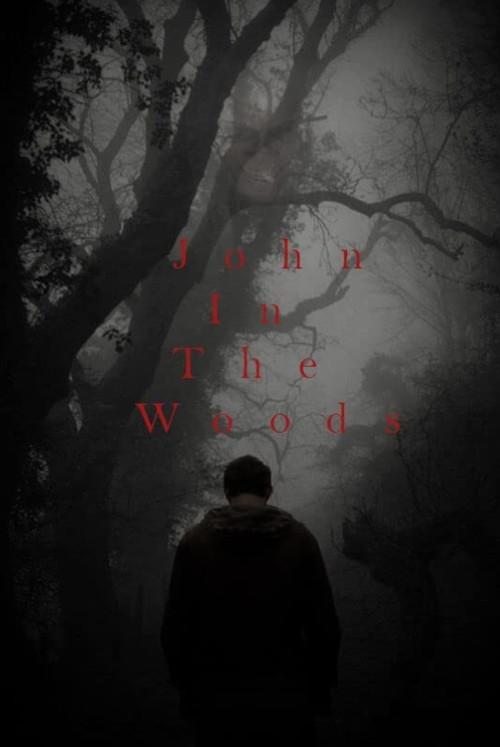 John in the Woods 2021 official movie poster