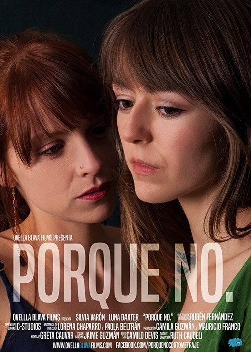 Porque no. 2016 official movie poster