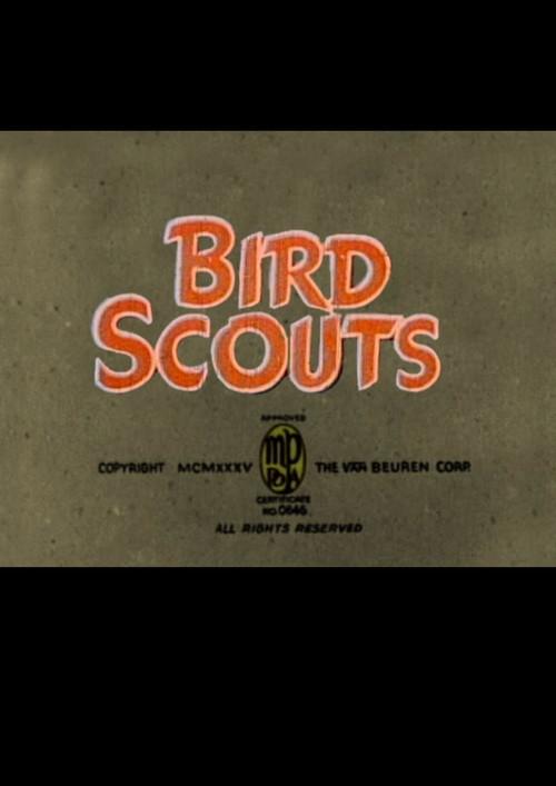 Bird Scouts 1935 official movie poster