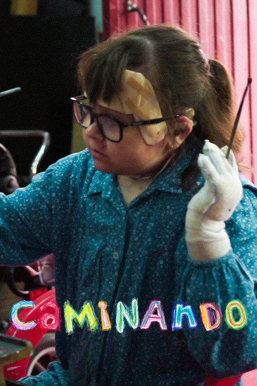 Caminando 2024 official movie poster