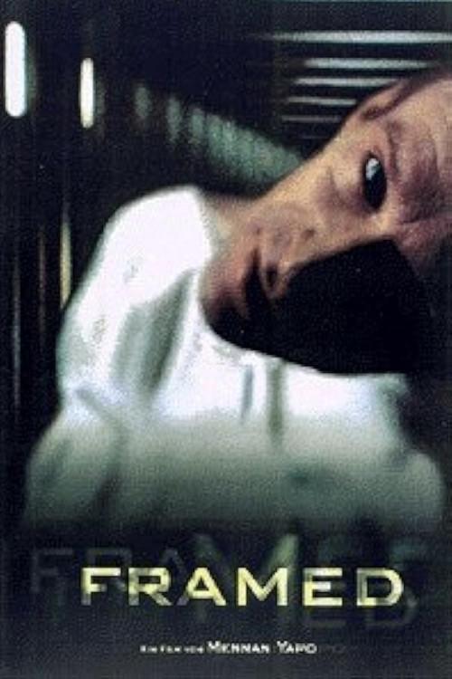 Framed 1999 official movie poster