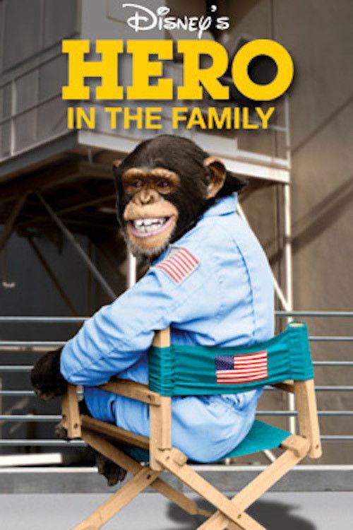 Hero in the Family 1986 official movie poster