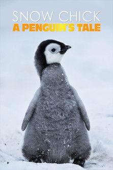 Snow Chick - A Penguin's Tale 2015 official movie poster