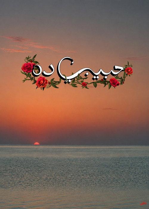 Habeeby Da 2025 official movie poster