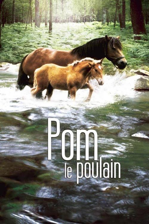Pom, le poulain 2006 official movie poster