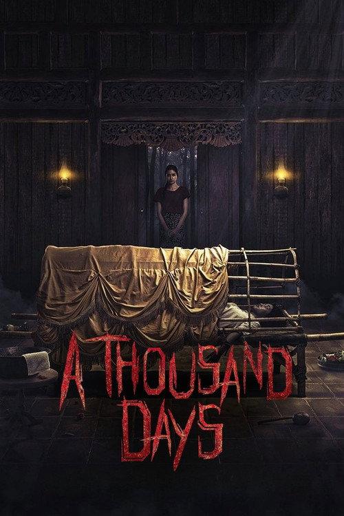 A Thousand Days 2023 official movie poster