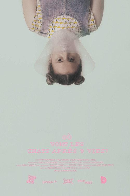 Where Do Cats Go After 9 Lives? 2017 official movie poster