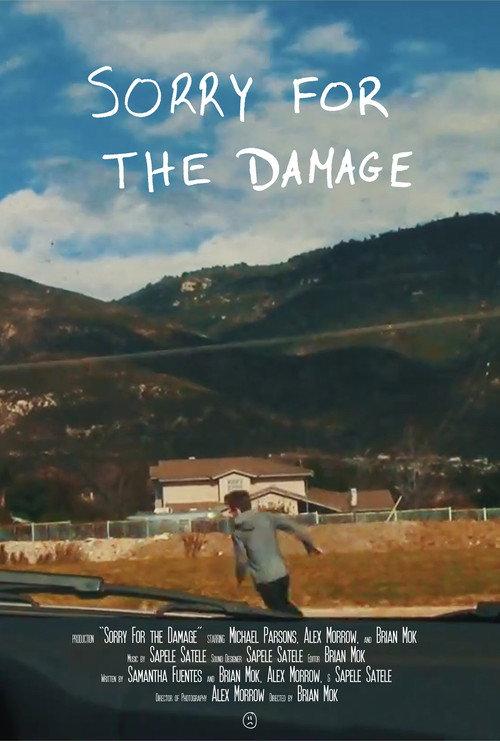 Sorry For the Damage 2016 official movie poster