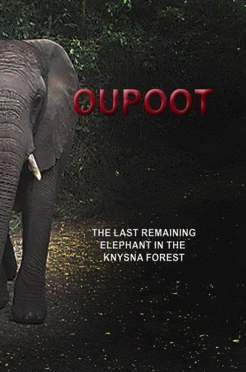 Oupoot 2021 official movie poster