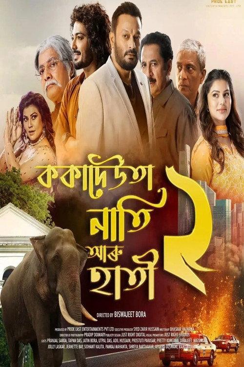 Koka Deuta Nati Aru Hati 2 2026 official movie poster