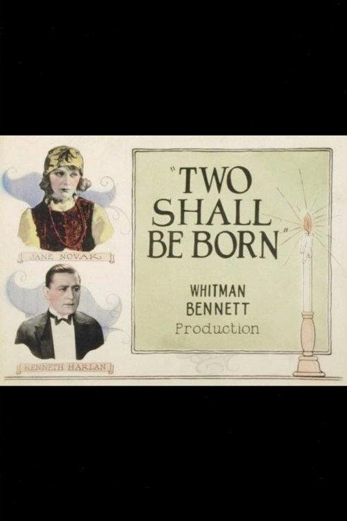 Two Shall Be Born 1924 official movie poster