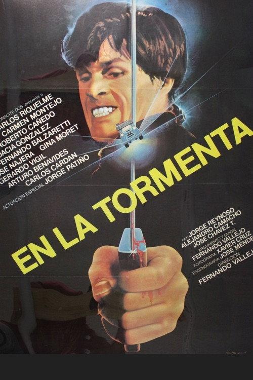 In the Storm 1982 official movie poster