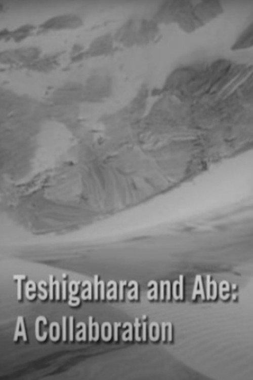 Teshigahara and Abe 2007 official movie poster