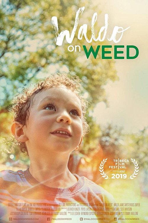 Waldo on Weed 2019 official movie poster