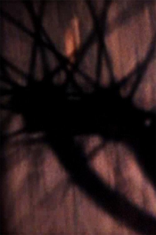 A Tale Part Told 1991 official movie poster