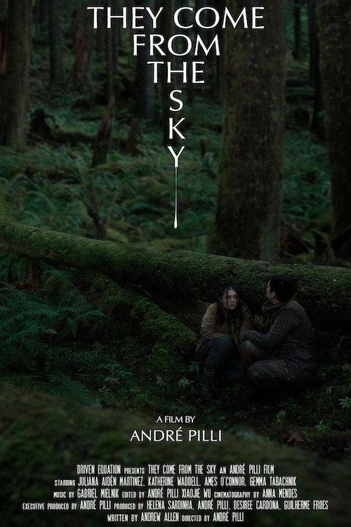 They Come From the Sky 2023 official movie poster