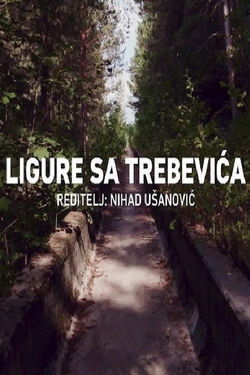 Bobsleigh in Trebevic 2024 official movie poster