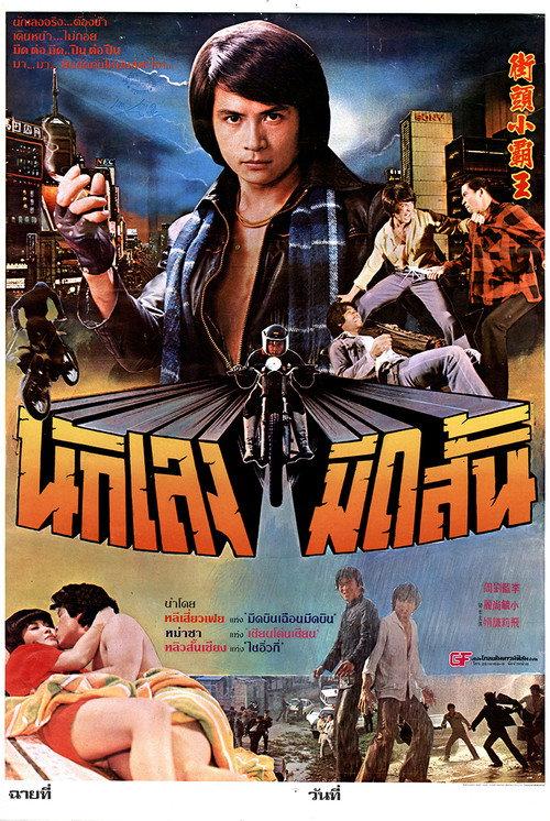 Golden Fists of a Duo 1981 official movie poster