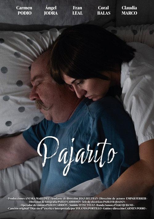 Pajarito 2025 official movie poster