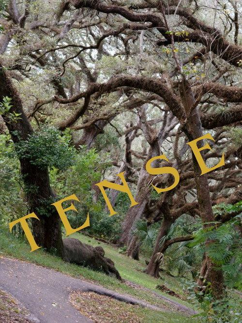 Tense 2024 official movie poster