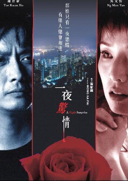 A Night Surprise 2007 official movie poster