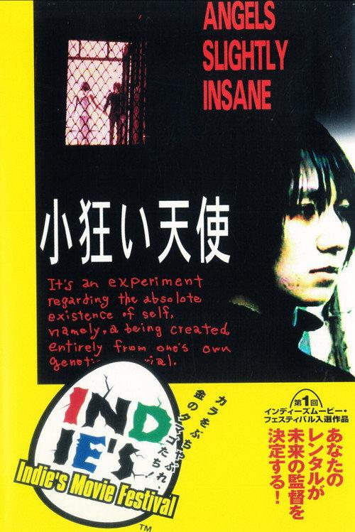 Angels Slightly Insane 1994 official movie poster