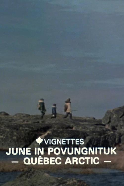 Canada Vignettes: June in Povungnituk - Quebec Arctic 1980 official movie poster