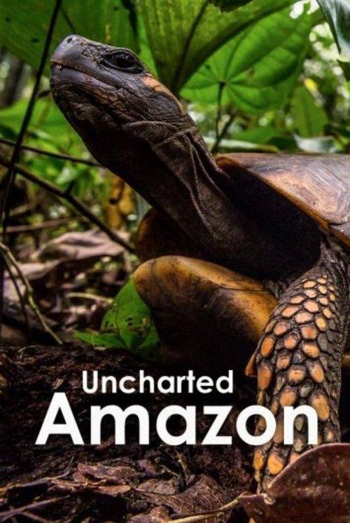 Uncharted Amazon 2016 official movie poster