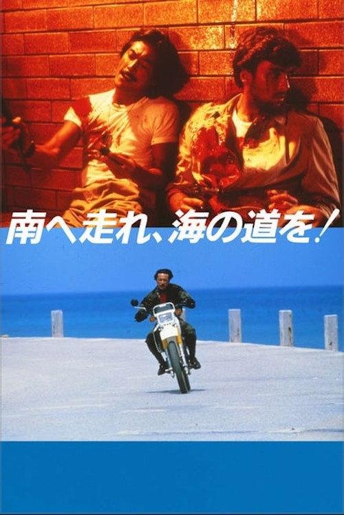 South to the Horizon 1986 official movie poster