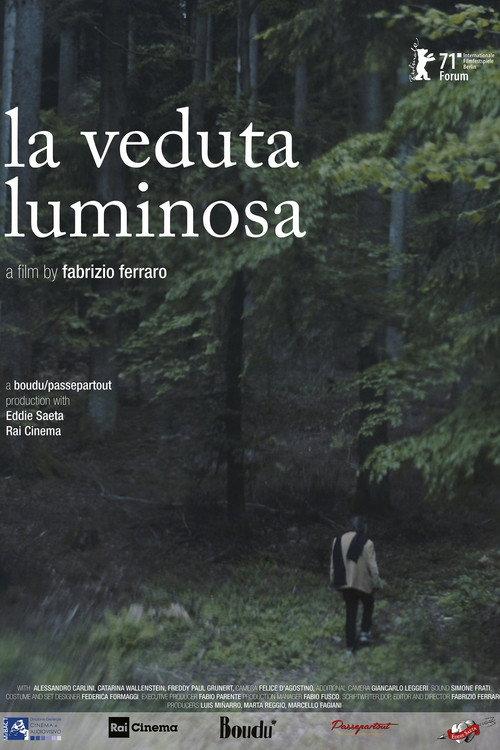 The Luminous View 2021 official movie poster